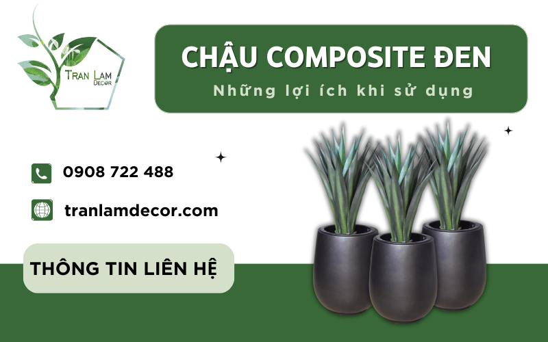 Chậu composite đen