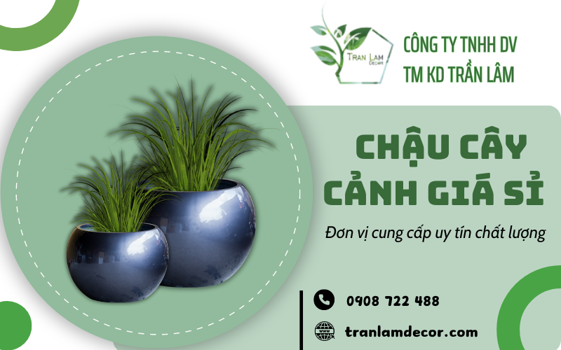 Chậu cây cảnh giá sỉ 