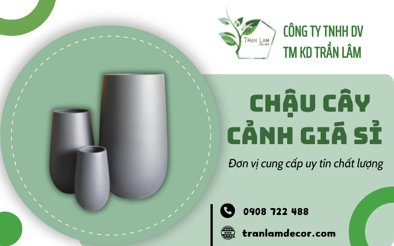 Chậu cây cảnh giá sỉ 