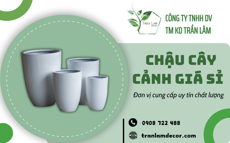 Chậu cây cảnh giá sỉ 
