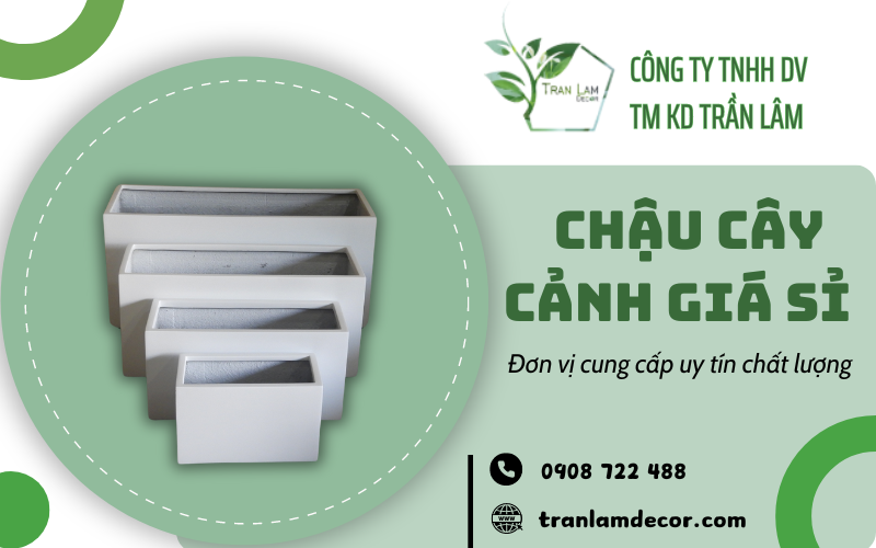 Chậu cây cảnh giá sỉ 