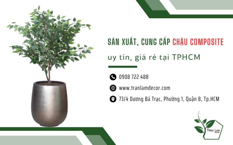 Chậu composite