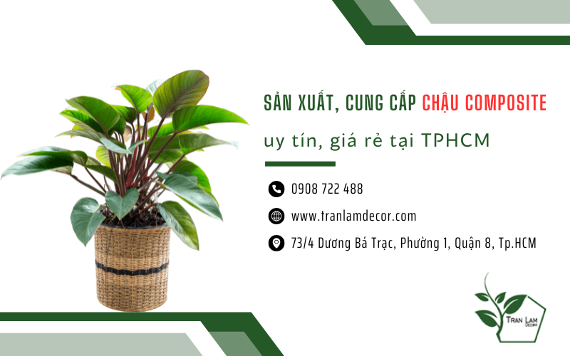 Chậu composite