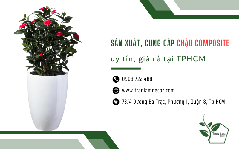 Chậu composite