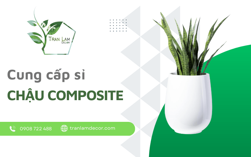 chậu composite sỉ