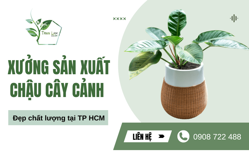 Xưởng sản xuất chậu cây cảnh