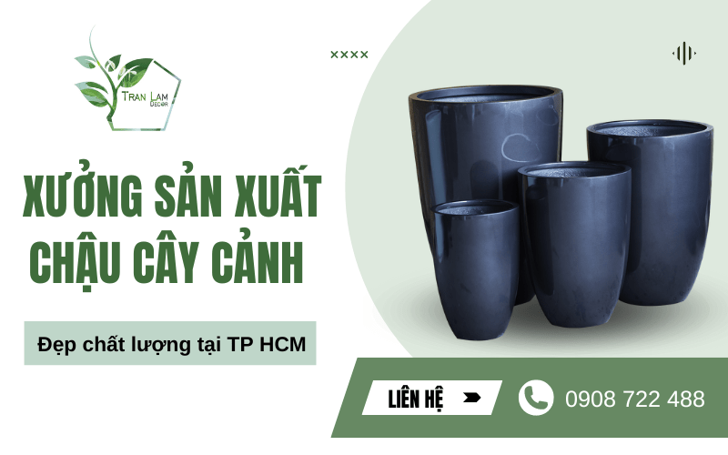 Xưởng sản xuất chậu cây cảnh