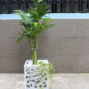 Chậu cây đơn giản TL5001