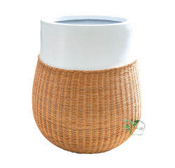 Chậu composite  TL 1813