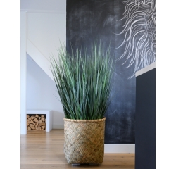 CHẬU BAMBOO TL2020