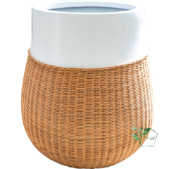 Chậu composite  TL 1813