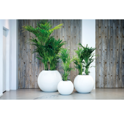 Chậu composite tròn