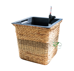 Chậu composite TL 1005