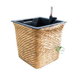 Chậu composite TL 1006