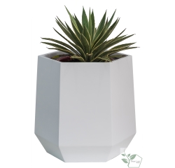 CHẬU COMPOSITE LỤC GIÁC TL1010