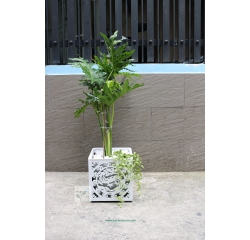 Chậu cây đơn giản TL5001