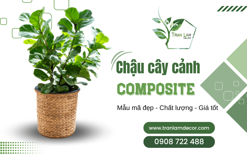 Các mẫu chậu cây cảnh composite đẹp mắt không thể bỏ qua tại Trần Lâm Decor