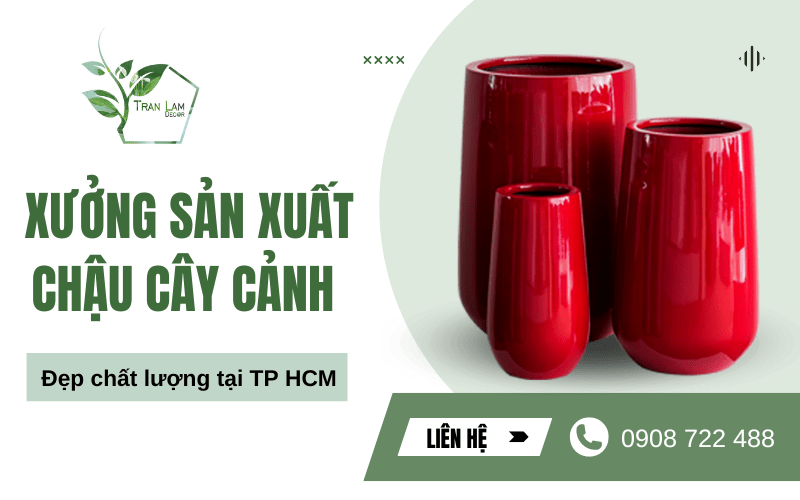 Xưởng sản xuất chậu cây cảnh đẹp chất lượng tại TP HCM
