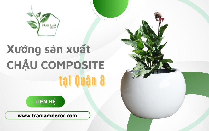 Xưởng sản xuất chậu composite hàng đầu tại Quận 8